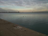 IMG_0436.jpg