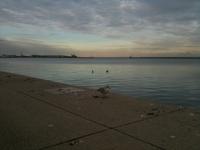 IMG_0437.jpg